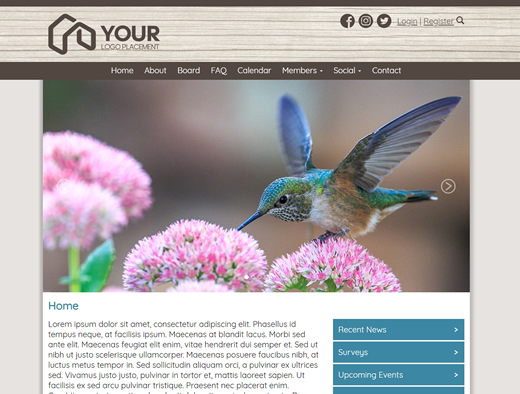 website design