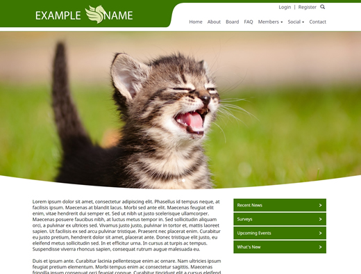 website design