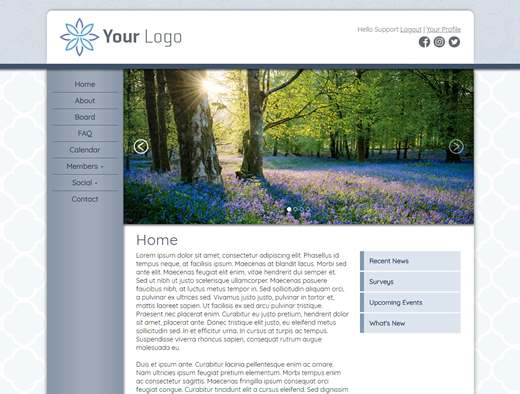 website design