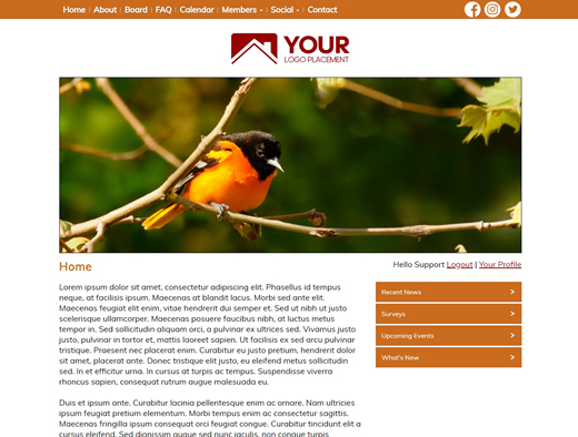 website design