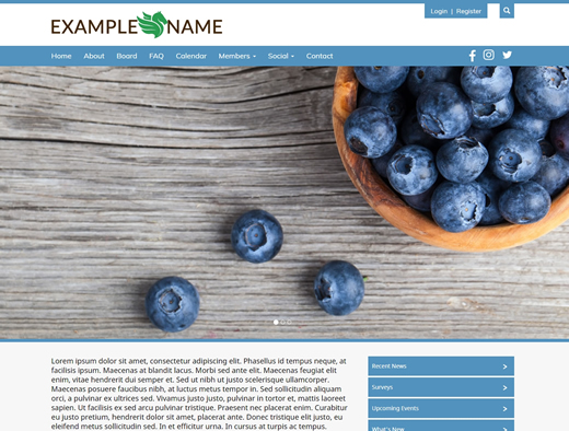 website design