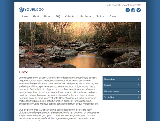 website design