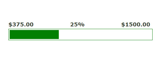 Donation Goal Progress